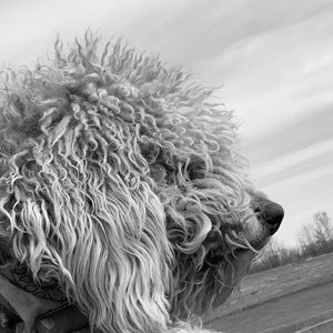 Meet your Posher, Lilly